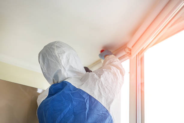 Best Mold Remediation for Healthcare Facilities  in Sparta, IL