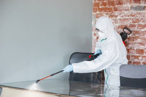 Best Mold Odor Removal Services  in Sparta, IL