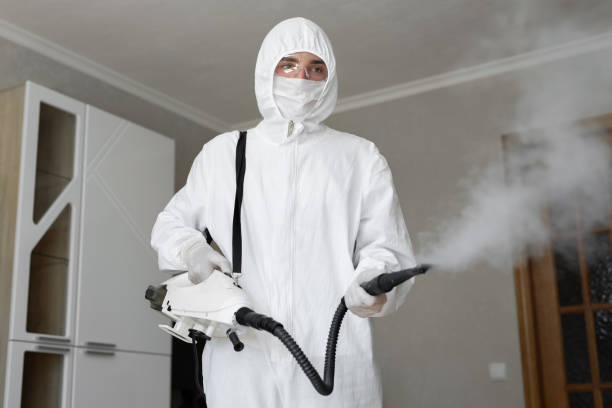 Best Basement Mold Removal  in Sparta, IL